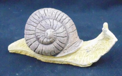 Plaster Garden Snail - Image 2