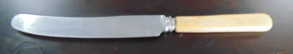 England, Bone Handled Knife