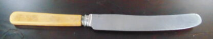 England, Bone Handled Knife - Image 4