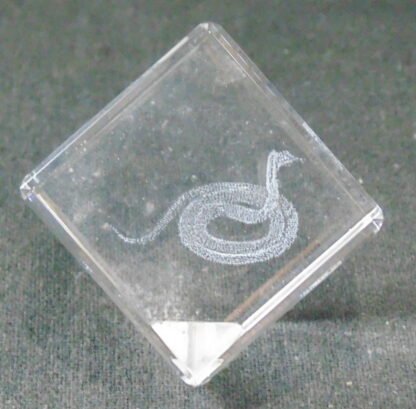 Snake in Glass Cube