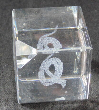 Snake in Glass Cube