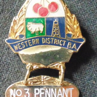 No 3 Pennants 1993 Western District RA Pin