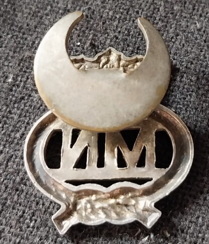 MN Crown Pin