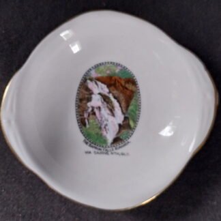 Royal Grafton, Bone China, Bowl, The Barron Falls, Kuranda, QLD