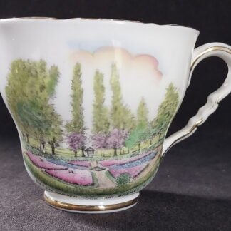 Royal Stafford, 244, Cook Park, Orange, NSW, Tea Cup