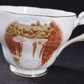 Royal Standard, Tea Cup, Danger Falls Dorrigo, NSW