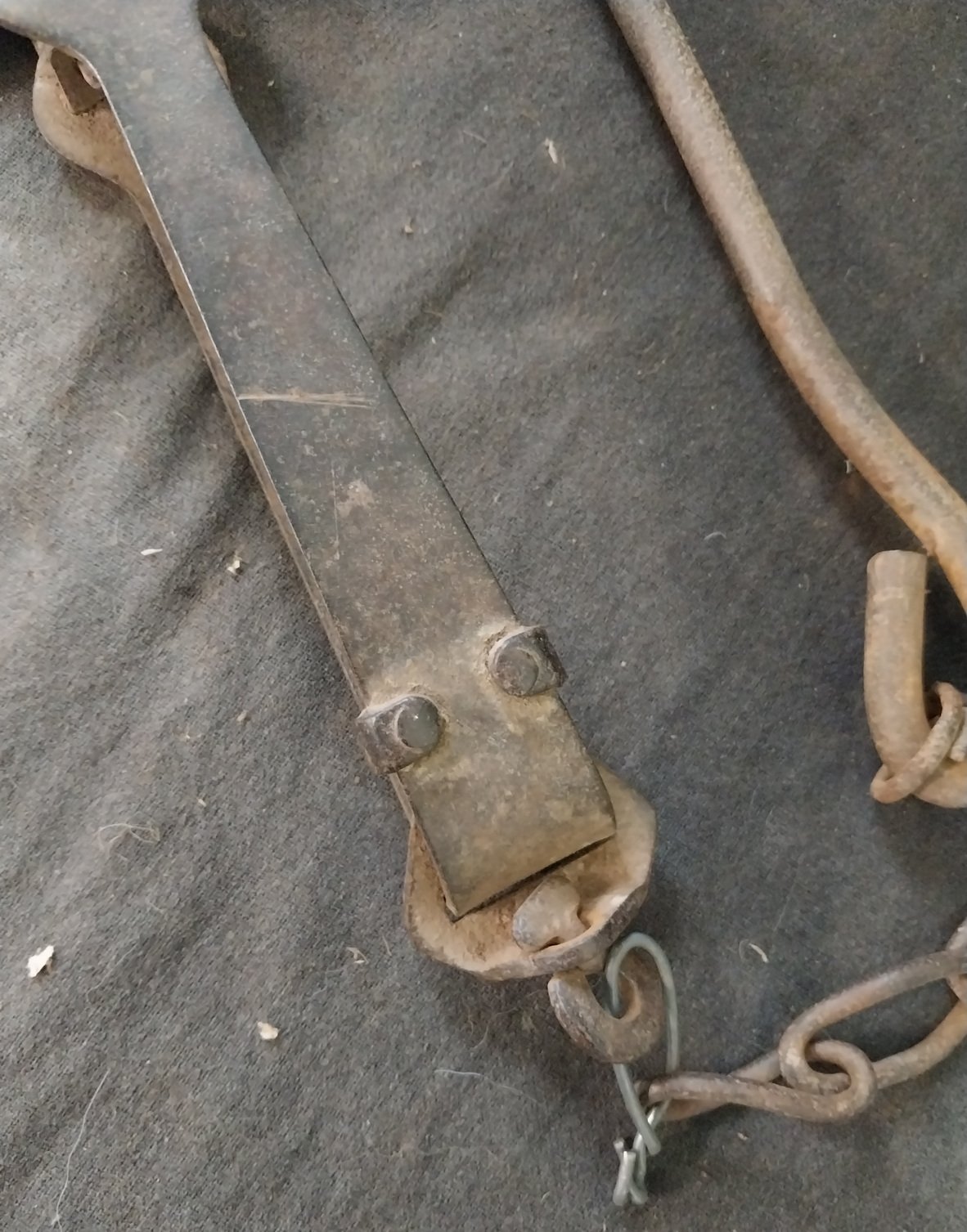 Antique Rabbit / Fox Trap