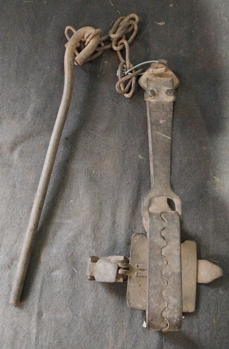 Antique Rabbit / Fox Trap