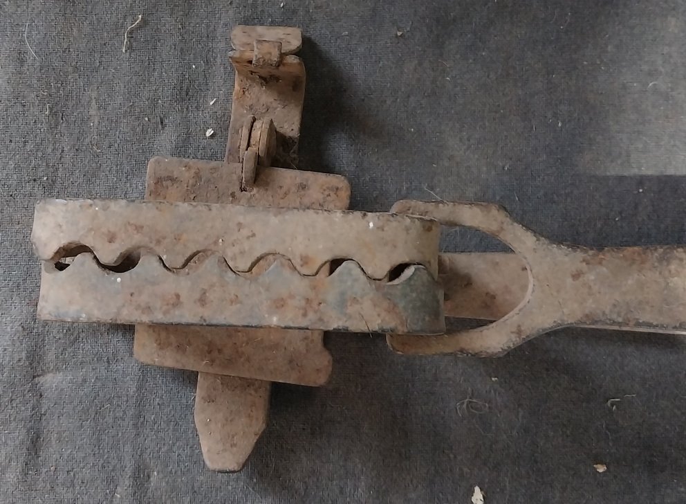 Antique Rabbit / Fox Trap