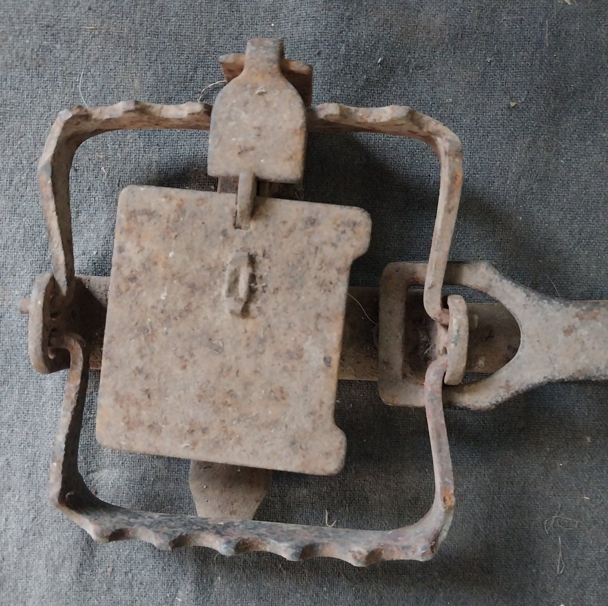Antique Rabbit / Fox Trap
