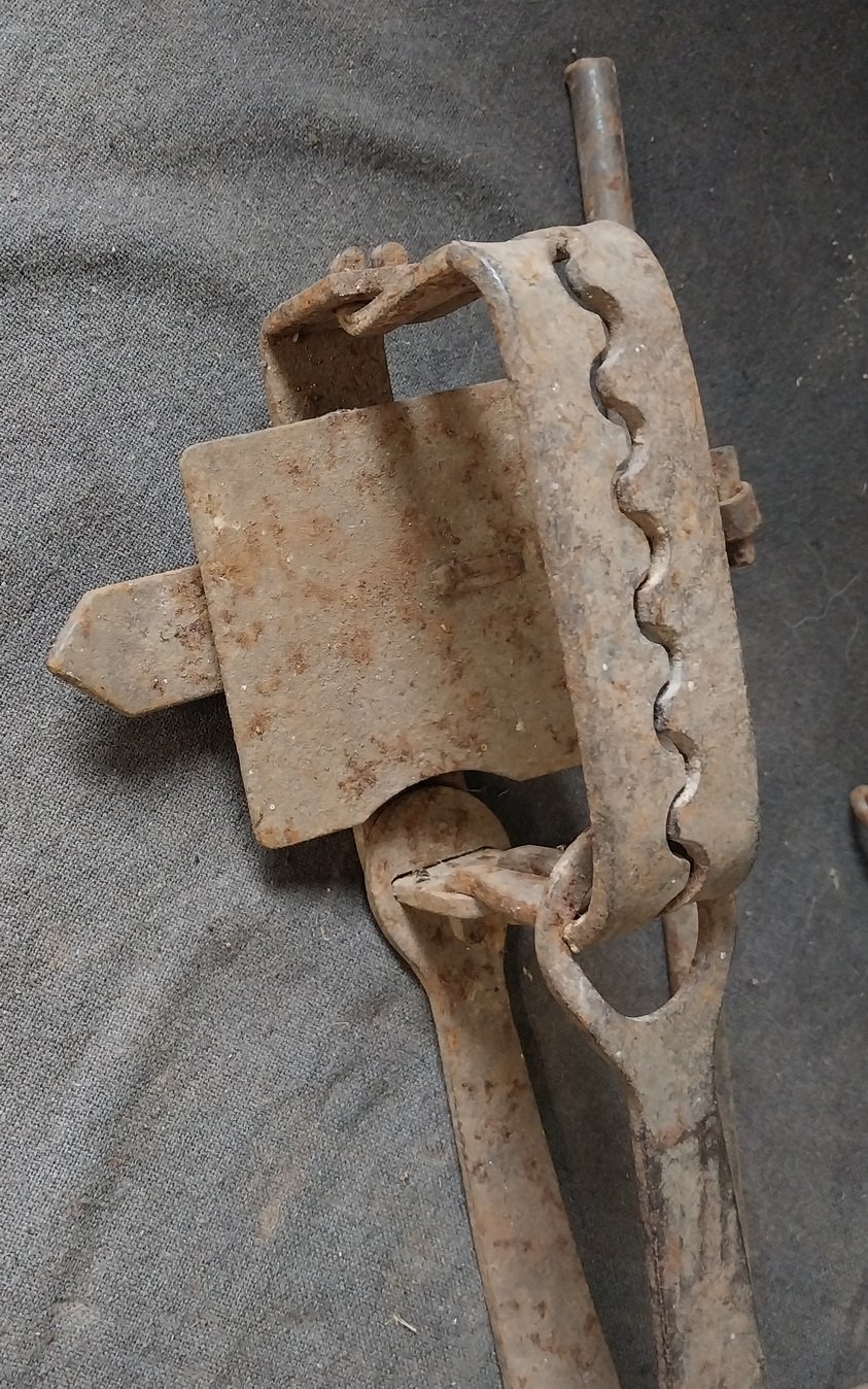 Antique Rabbit / Fox Trap