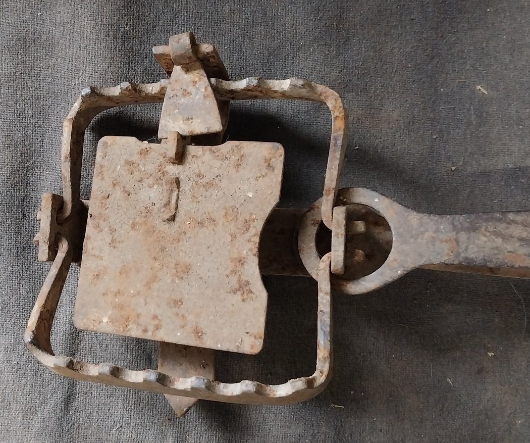 Antique Rabbit / Fox Trap
