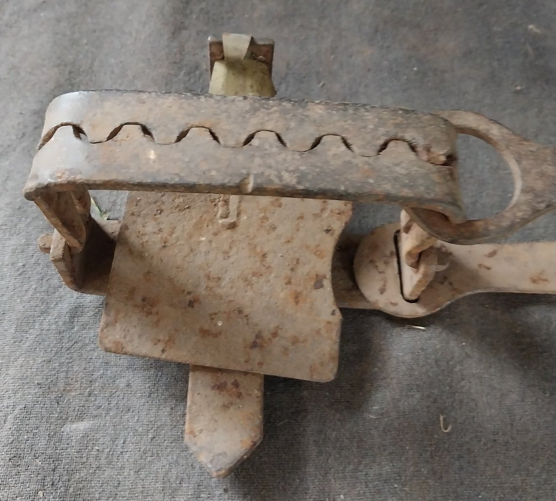 Antique Rabbit / Fox Trap
