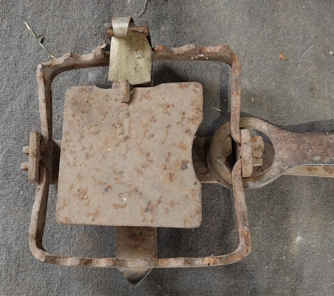 Antique Rabbit / Fox Trap