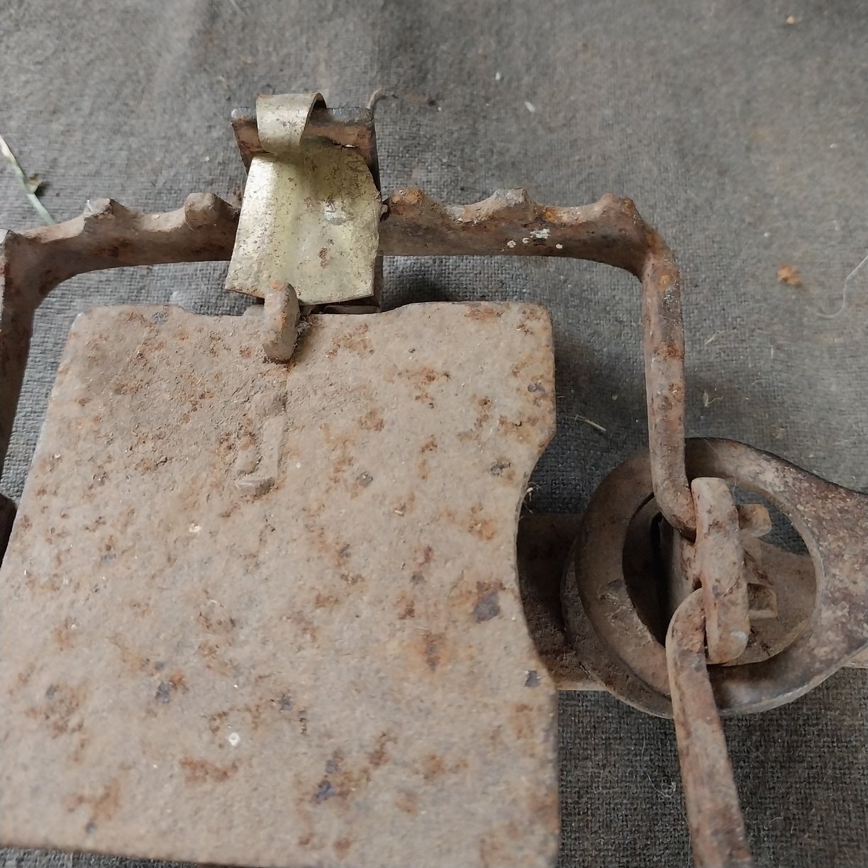 Antique Rabbit / Fox Trap