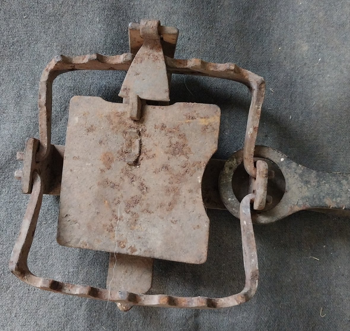 Antique Rabbit / Fox Trap