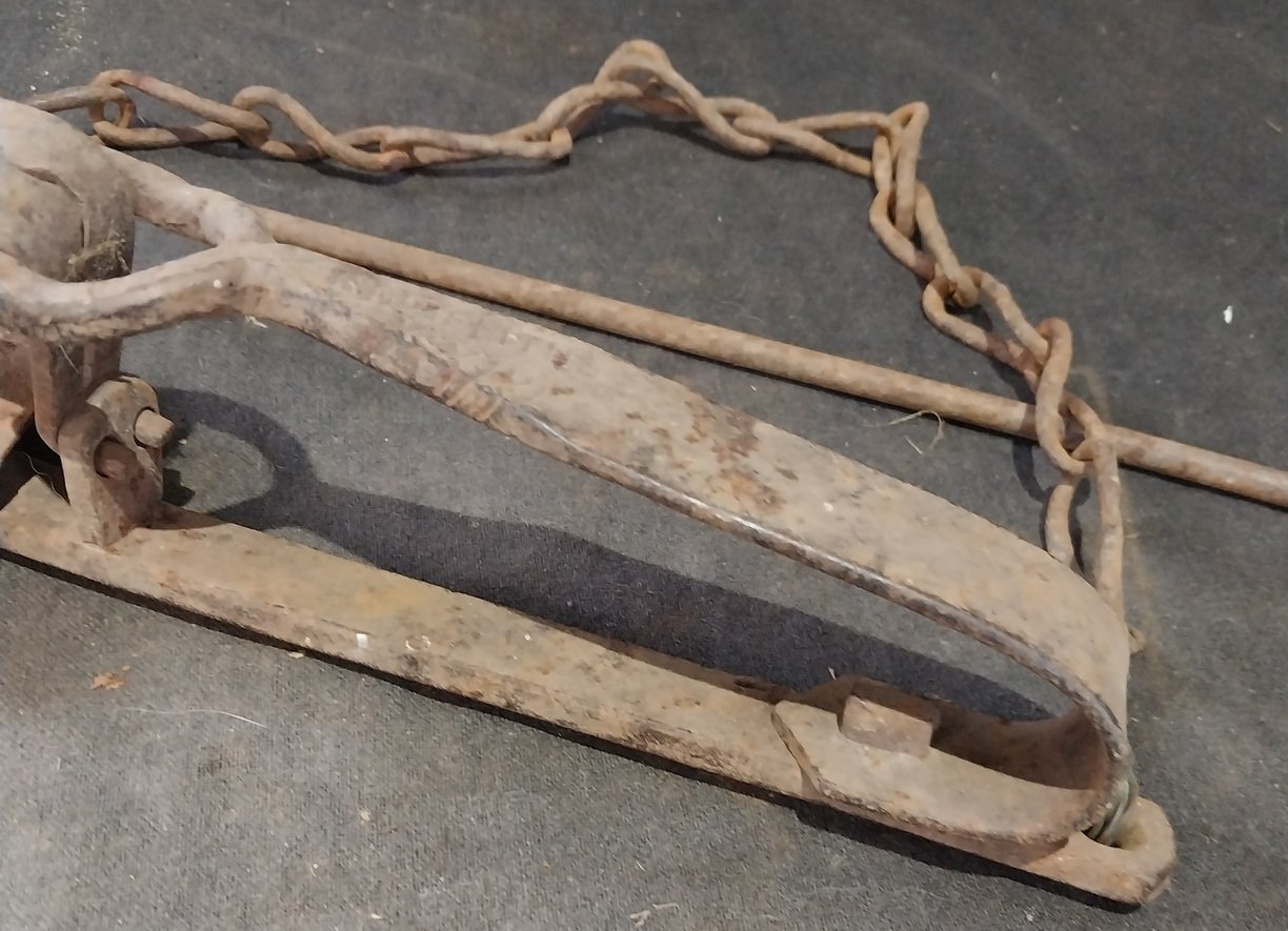 Antique Rabbit / Fox Trap