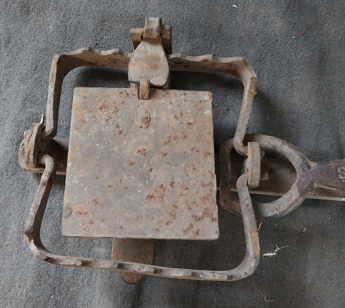 Antique Rabbit / Fox Trap