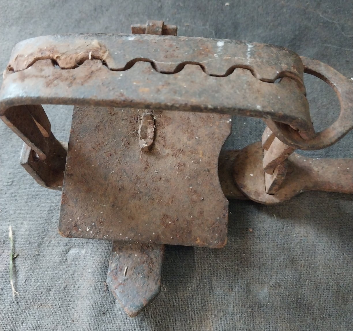 Antique Rabbit / Fox Trap