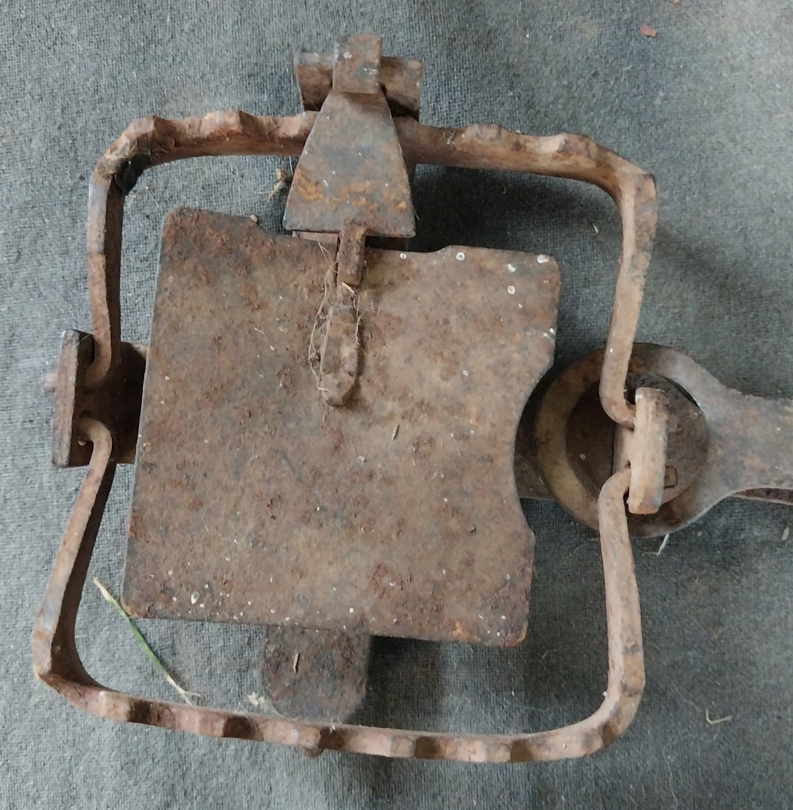 Antique Rabbit / Fox Trap