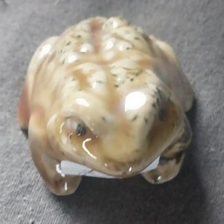 Terracotta Glazed Frog